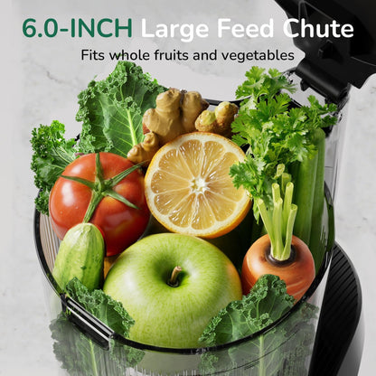 C16 Cold Press Juicer, 6" Extra Wide Feed Chute, 3-IN-1 Strainers (Juice & Sorbet & Nut Milk), Powerful AC Brushless Motor, Self Precut System, Juicer Machines with Bpa-Free (Space Gray)