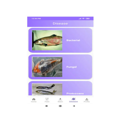 Best High Quality Fish Guru Application Software Customized Features Designed
