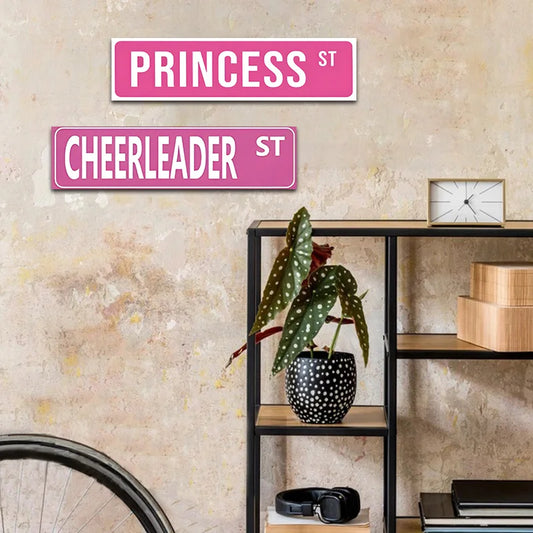 Pink Princess ST  Retro Metal Tin Plaque  Perfect Girl Room Decoration