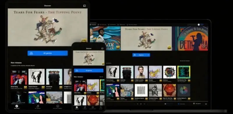 Software for Music Streaming and Discovery-in Stock