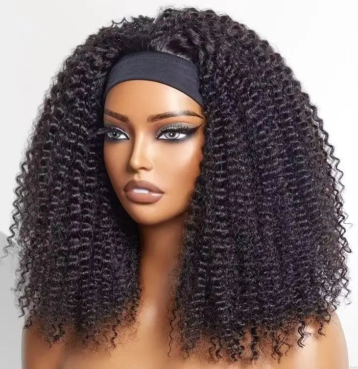 Raw Indian Hair HD Lace Closure Wig Virgin Cuticle Aligned 100% Glueless Full Lace Human Hair Swiss Frontal Wig for Black Women
