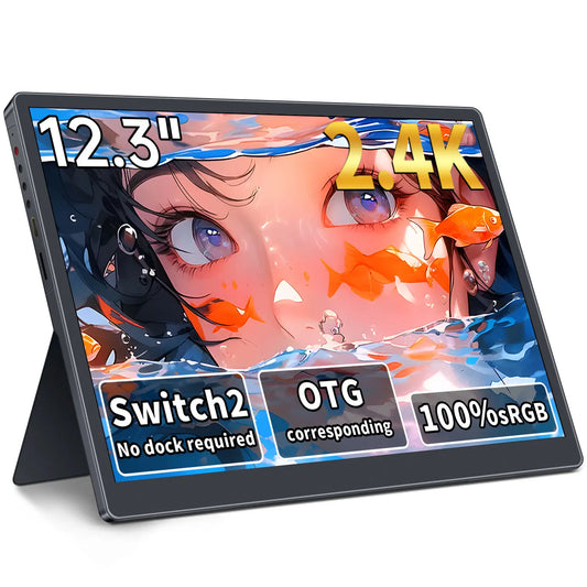 HAILESI S123 Portable monitor 12.3 inches, 2.4K,2400x1600,Switch 2 Dock Not Required,OTG Compatible, 3:2 Screen 380nit