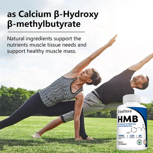 Highly Absorbable HMB Supplement – Supports Muscle and Movement, Enhances Strength, and Reduces Skeletal Muscle Damage