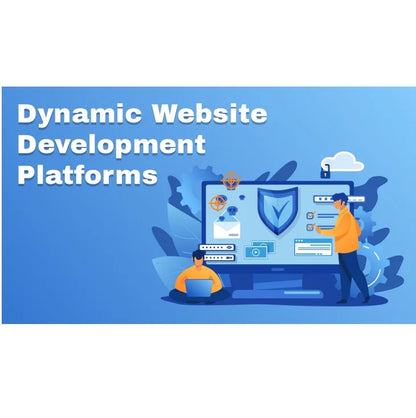 Professional Programming  Web Development Services for Websites Apps APIs and Custom Software