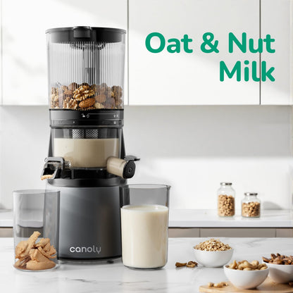 C16 Cold Press Juicer, 6" Extra Wide Feed Chute, 3-IN-1 Strainers (Juice & Sorbet & Nut Milk), Powerful AC Brushless Motor, Self Precut System, Juicer Machines with Bpa-Free (Space Gray)