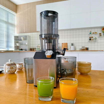 Cold Press Juicer, Wide Feed Chute Juicer Machines, Stainless Steel Slow Masticating Juicers Easy to Clean, Vegetables & Fruits Juice Extractor, High Juice Yield, Silver Knob